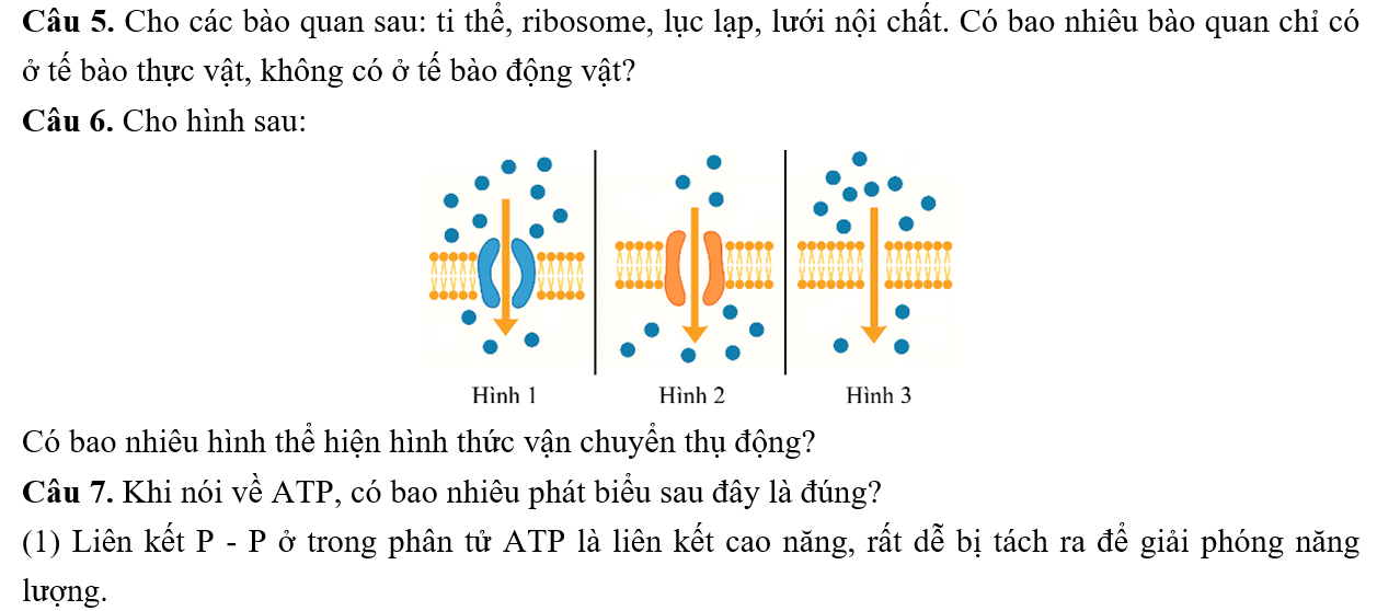 Đề kiểm tra sinh 10 HK1 - có đủ 4 mã đề, đáp án,